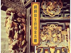 -碧江金楼