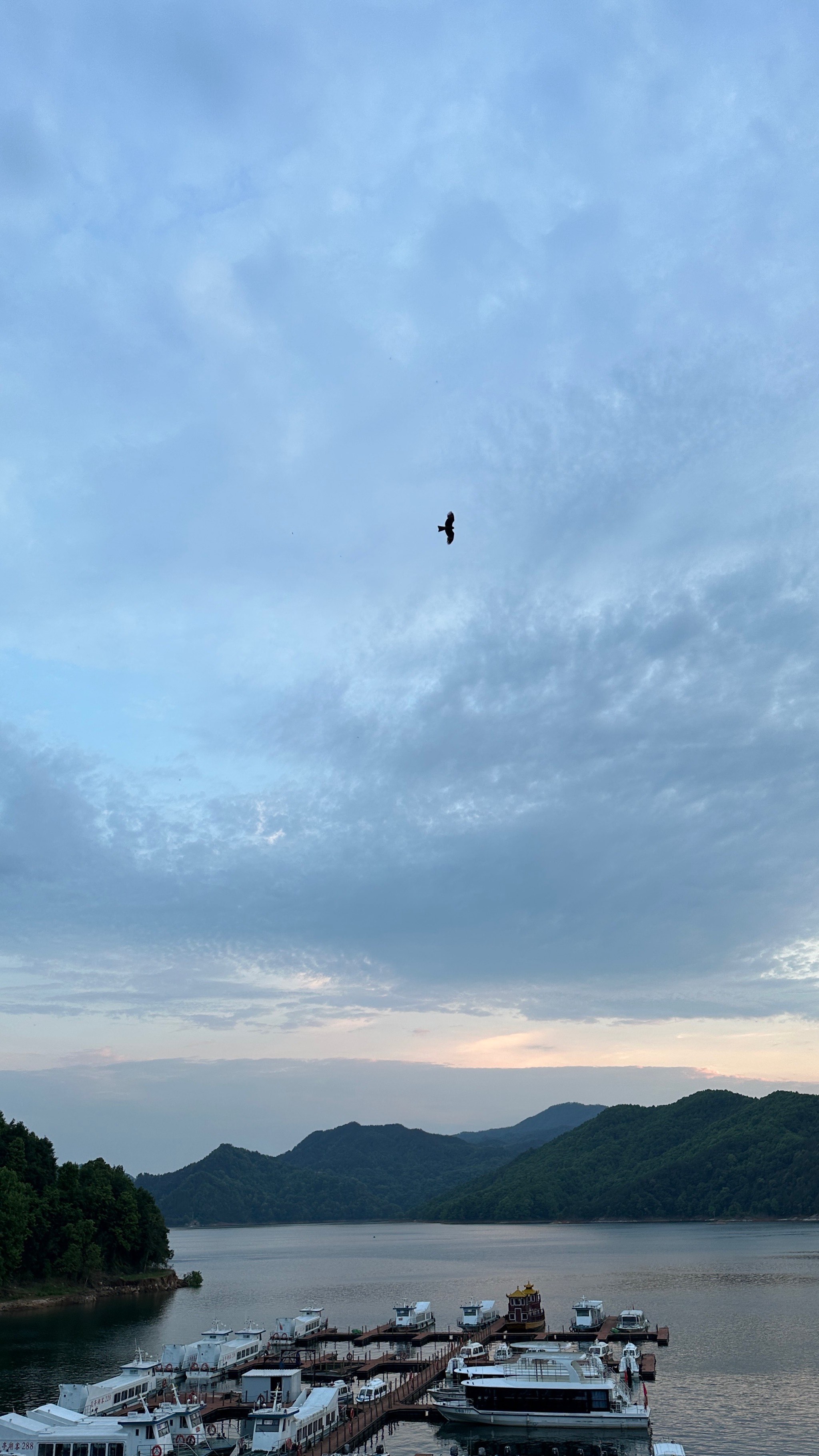 太湖花亭湖风景名胜区图片