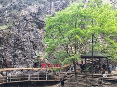 -九龙潭景区