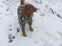 -太子岭滑雪场
