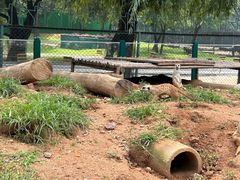 -秦皇岛野生动物园