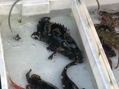 -八方海味餐厅