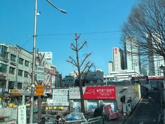 -乐天免税店(明洞店)