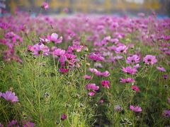 -辽东学院(南校区)