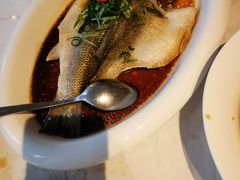 -上海宝华喜来登酒店·采悦轩中餐厅