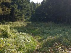 -玉泉威虎山森林公园
