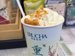 -初茶花月·重庆特产(大融城店)