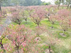 -广州莲花山旅游区