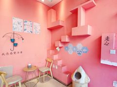 -藏猫猫咖啡主题馆(中央大道店)