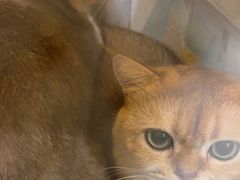 -佳雯宠物医院·皮肤科·内外科(春晓路分院)