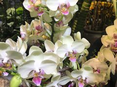 -花草间花行(法华镇路店)