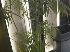 -管氏翅吧(人民大学店)