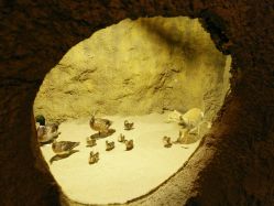 -酷嗒动物文化乐园(cutezoo西溪乐天城店)