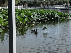 -长春世界雕塑园冰雪艺术天地