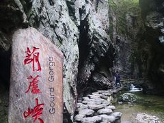-牛背梁国家森林公园