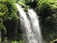 -莫里热带雨林景区