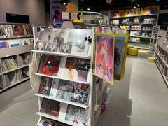 -浣熊唱片店(上海影城店)
