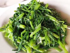 -仙本那小型鱼市