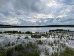 -塞罕坝国家级自然保护区