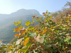 -狼牙山风景区