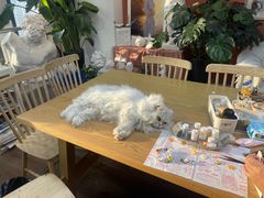 -朝画惜时·陶艺·拼豆·团建