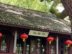 -上海醉白池公园