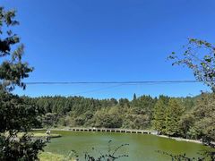 -武陵山森林公园