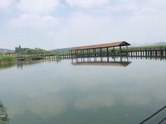 -太湖湖滨国家湿地公园-停车场