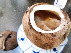 原只椰子炖竹丝鸡-達揚原味燉品(文明路店)
