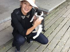 -天津市和平区西宁道清真寺