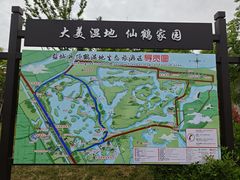 -盐城丹顶鹤湿地生态旅游区