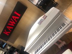-柏斯琴行(汾阳店)