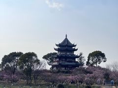 -上海海湾国家森林公园