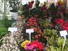 -三圣花乡旅游区