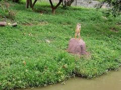 -上海野生动物园