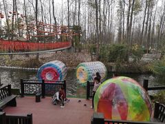 -合肥滨湖国家森林公园