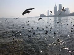 -青岛第二海水浴场