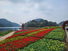 -广州市石门国家森林公园