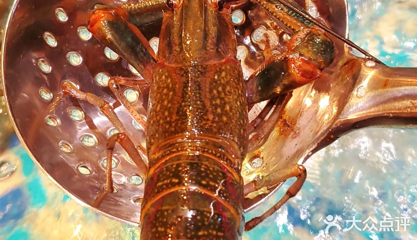 捞上来，吃下去！这里的海鲜管够！