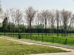 -汉长安城未央宫国家考古遗址公园