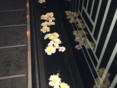 -Dragonfly悠庭·按摩Spa(静安嘉里中心店)