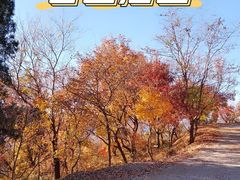 -香山公园