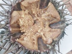 -海胆小馆(东北水饺·春柳店)