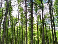 -驼梁风景区