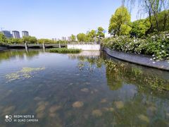 -尚贤河湿地