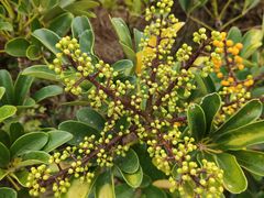 -中国移动南方基地