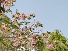 -大雁塔北广场音乐喷泉