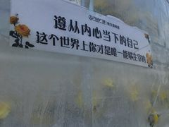-麦当劳(哈西万达店)