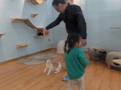 -猫冇咖·家门口的撸猫馆(大融城店)