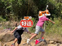 -广州白江湖森林公园